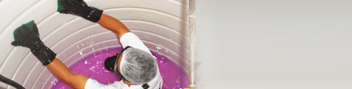 Professional water tank cleaning service in Velachery